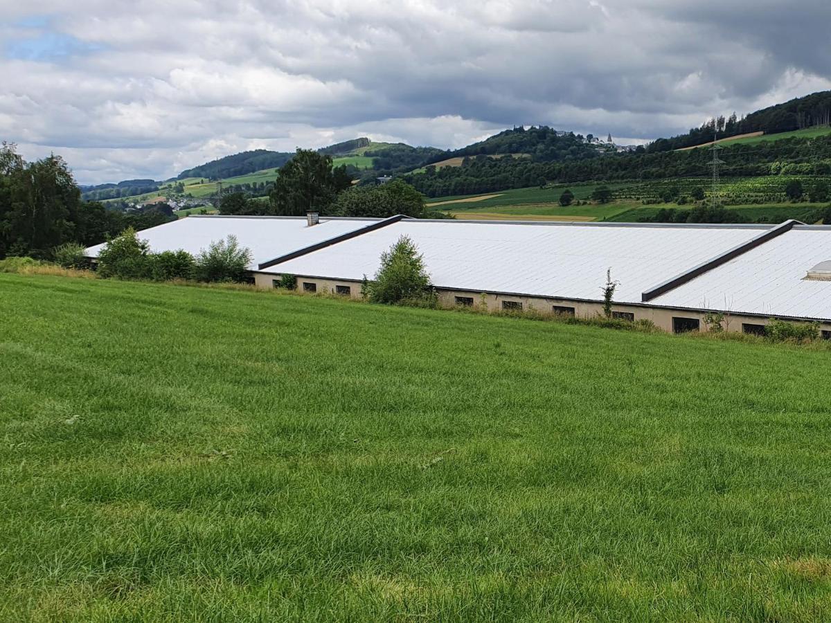 Ferienwohnungen Am Finkenweg Bestwig Exterior foto