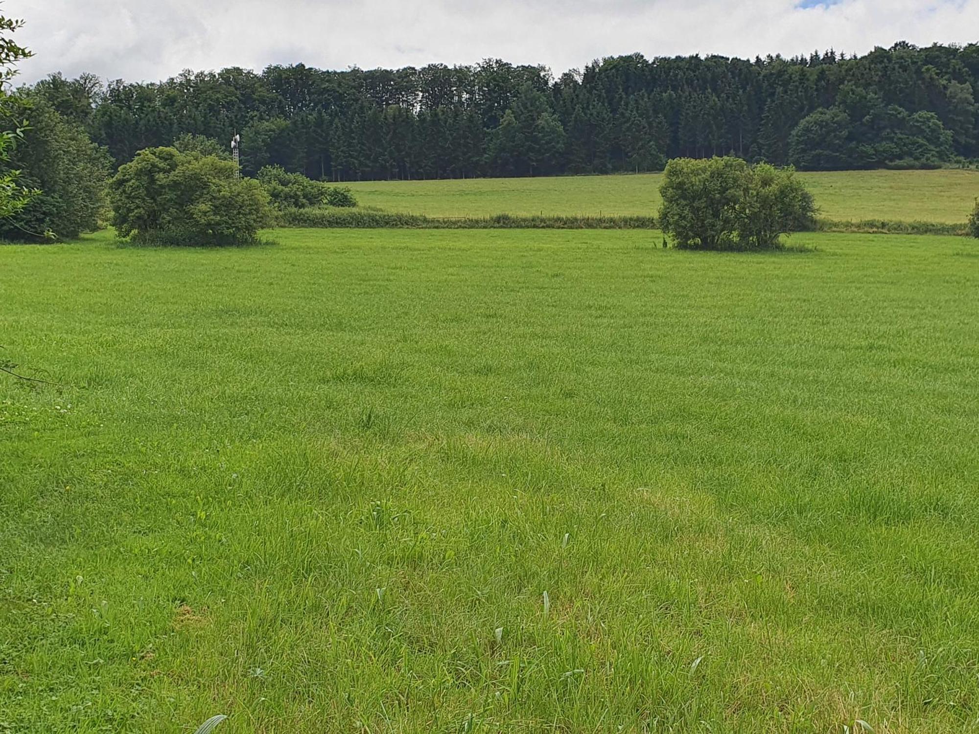 Ferienwohnungen Am Finkenweg Bestwig Exterior foto